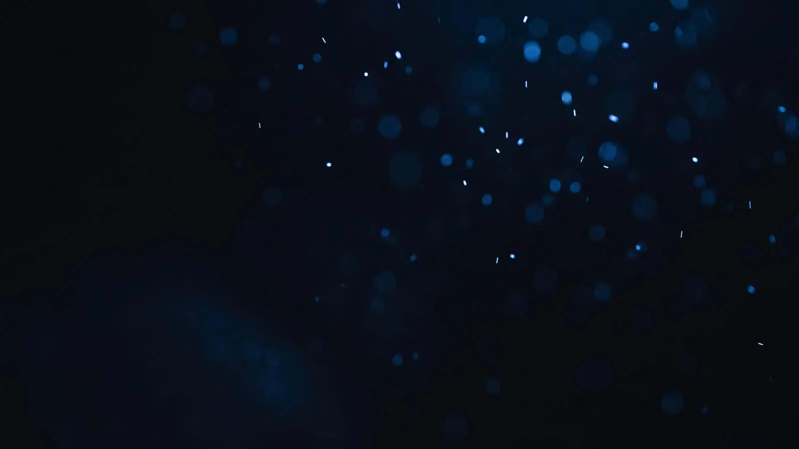 Scattered points of blue light on black, some sharp and some blurred.